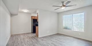 Maryland West Gallery 16