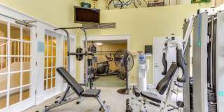 1625 INTERNATIONAL DR #321 Gallery 31