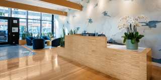 SKAIA Gallery 31