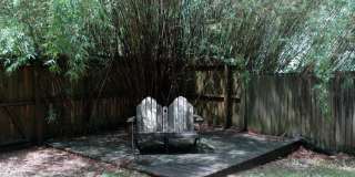 Available Fall 2026! 3 Bed/2 Bath House Right off of NW 34th St. Close to UF Gallery 15