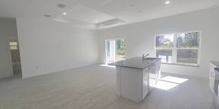 Brand new 4/2/2  House Gallery 10