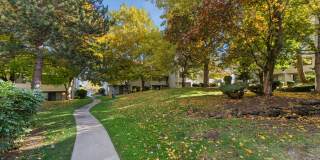 Peaks on Pines Gallery 24