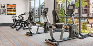 Hue on Greenhouse Gallery 21