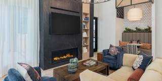 Vireo Medical District Gallery 21