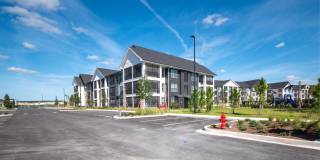 Alta Citron Gallery 9