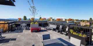 Phinney Flats Gallery 13