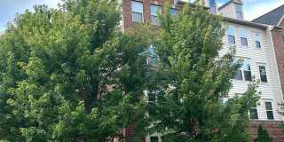 42101 PIEBALD SQ Gallery 1
