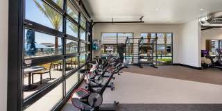 Elanto at Prasada Gallery 3