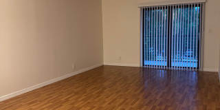 3730 N Pine Island Rd Gallery 1