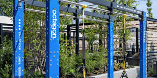 Madison West Elm Gallery 69