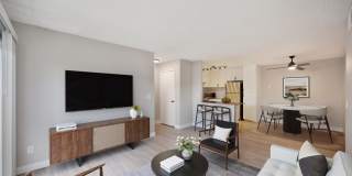 The Harlow Gallery 8