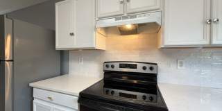 9011 Laguna Falls Gallery 17