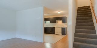 4 bedroom / 2 1/2 Bath. Undergrad Welcome. Off Street Parking, Bus Route Gallery 5