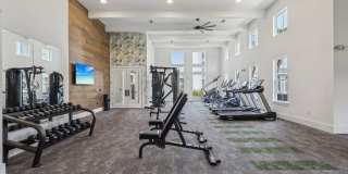 Tapestry Palmera Gallery 45