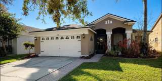 5541 DARK STAR Loop Gallery 1