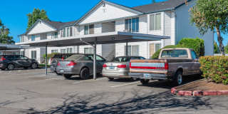 Park Avenue Village Apartments Gallery 24