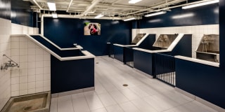 Watermark Buzzard Point Gallery 41