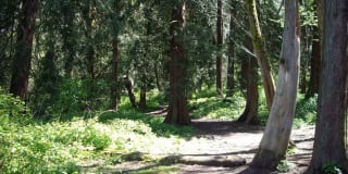 Hampton Heights Gallery 4