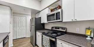 Stone Oak @ Parmer Gallery 10