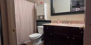 Charming Furnished 4 Bedroom Home in Phoenix with Home Theater Gallery 21
