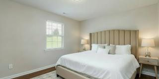 Axis on Roan Gallery 5