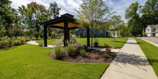 Ashford Townes Gallery 47