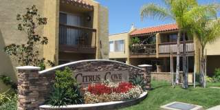 Fully Upgraded 1 Bedroom Apartment in Orange Gallery 1