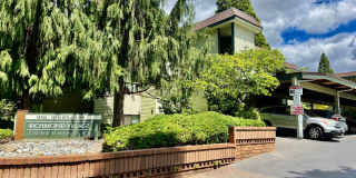 Beautiful 2 bed, 2 bath Shoreline Condo, $2400/mo. Gallery 1