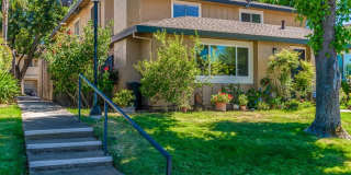 5728 Shadow Creek Drive Gallery 1