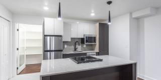 Lotus Cityline Gallery 1