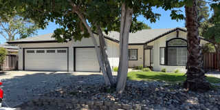 SINGLE STORY 3 BED/2 BATH IN CONCORD! SINGLE STORY 3 BED/2 BATH IN CONCORD! Gallery 1