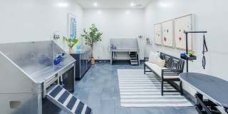 Arden at Huntersville Gallery 18