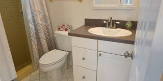 5 Black Cherry Dr Gallery 11