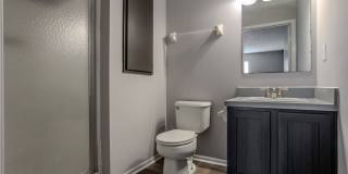 Forest View Gallery 8