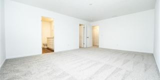 98 Brewster Drive Gallery 15