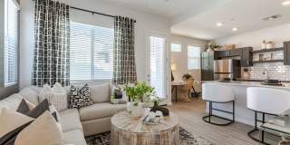 Montgomery at Rancho Mercado Gallery 23