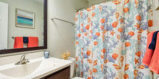 Grafton Station Apartments Grafton Station Apartments Gallery 19