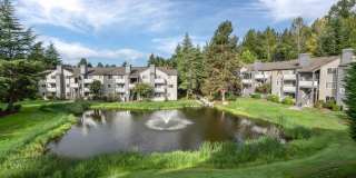 The Preserve at Forbes Creek Gallery 7