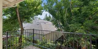 Brentwood Gallery 8