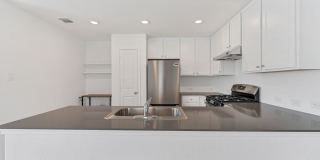 332 Elephants Ear Gallery 7