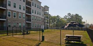 The Nixon Apartments Gallery 49