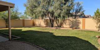 4226 N 92nd Lane Gallery 11