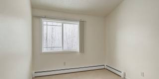 Conifer Grove Gallery 11