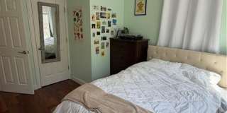 132 elton Street Gallery 7