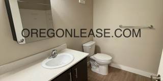 Newer 2-Bedroom Apartment Gallery 5