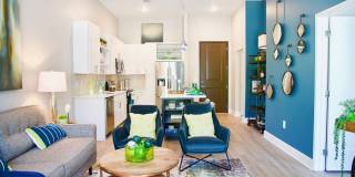 Park and Broad Gallery 7