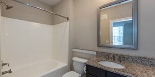 Red Knot at Edinburgh Gallery 17