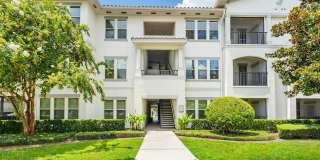 Citra at Windermere Gallery 48