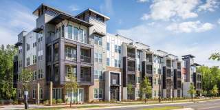 Velo Circleport Gallery 8