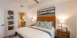 Pearl Rosemont Gallery 28